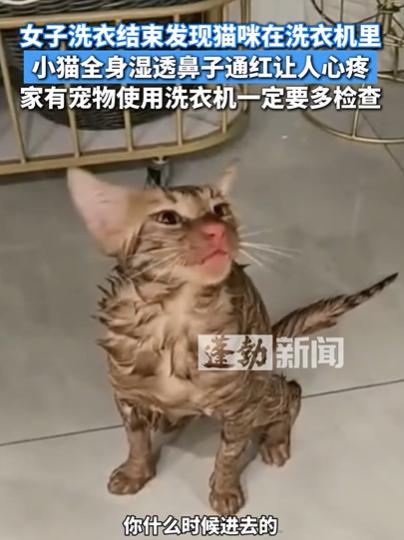 可怜！江苏苏州，女子用洗衣机洗衣，听到洗衣机有异响，她以为是硬币，结果，洗完后，