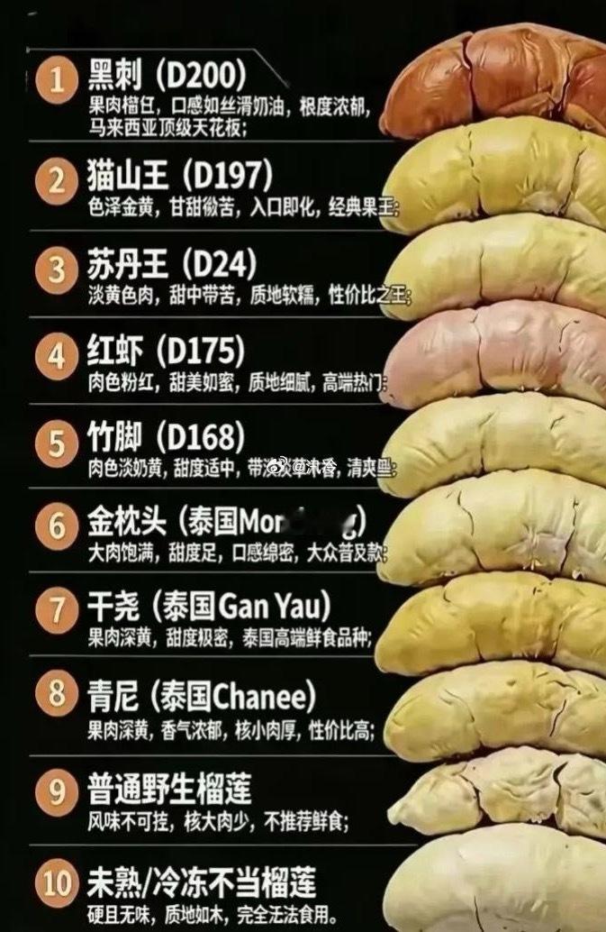 水果之王榴莲品种等级排行榜