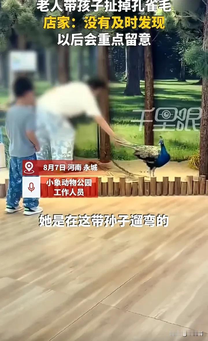 这位老人的丢脸行为让全河南都知道了！8月7日，河南商丘永城一位老人带孙子去小象动