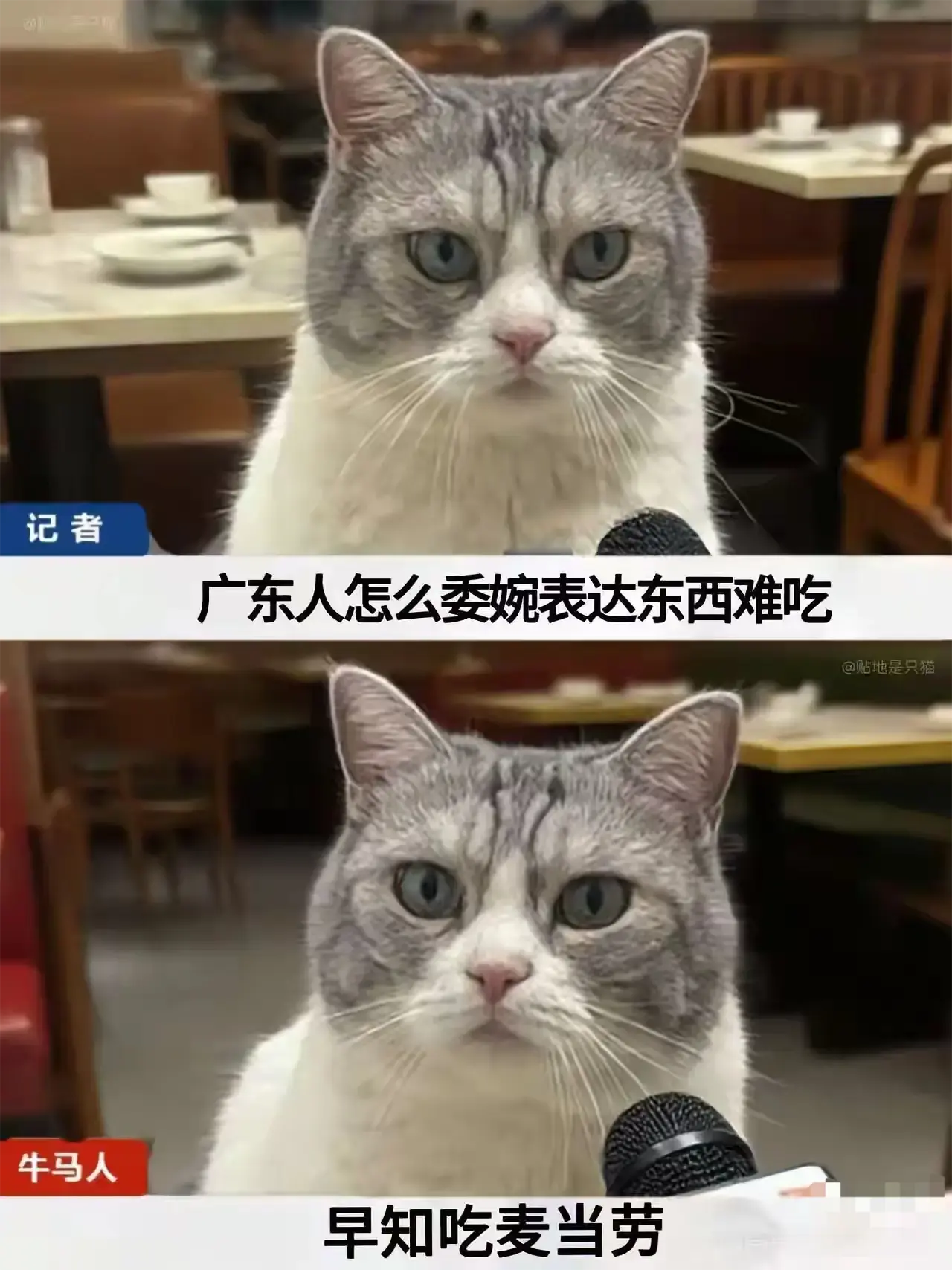 广东人如何委婉表达东西难吃