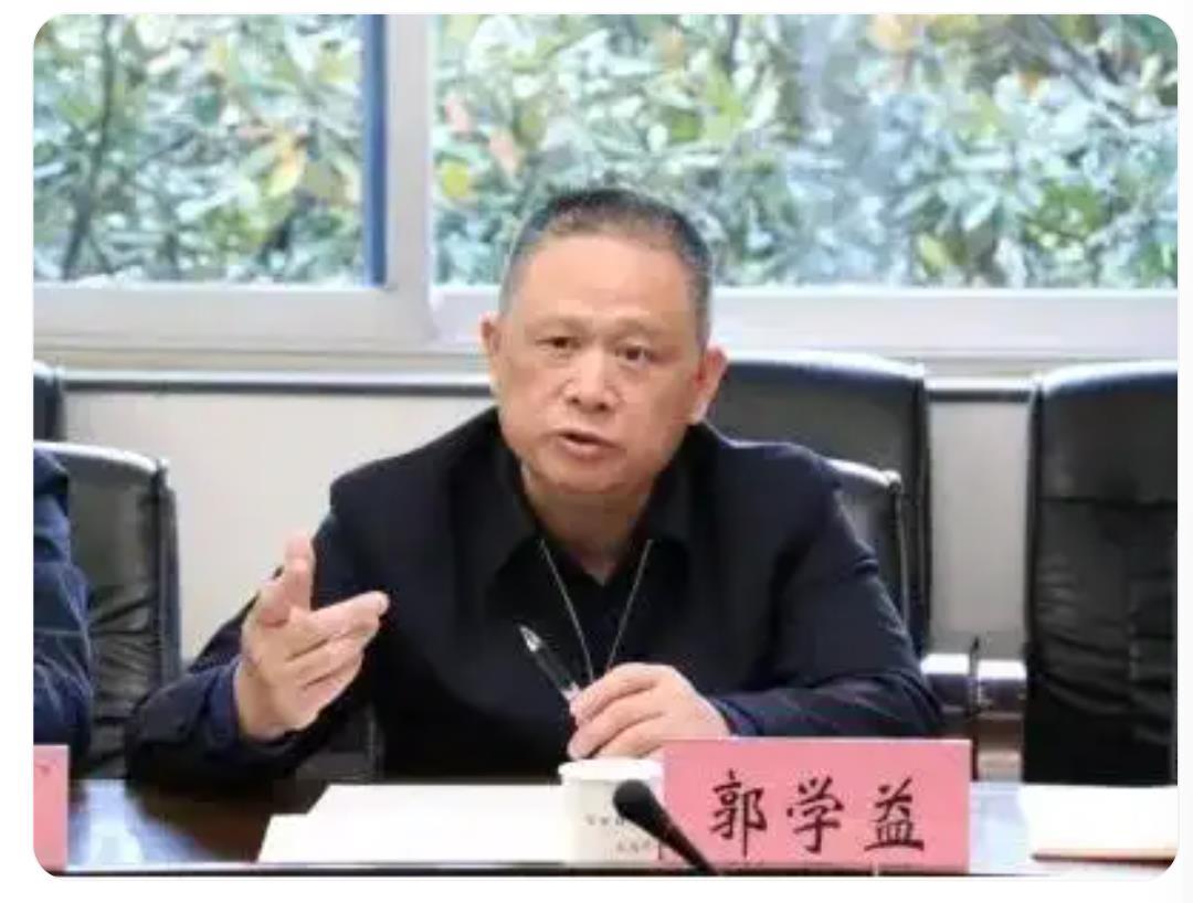 打虎! 中南大学副校长郭学益任上被查