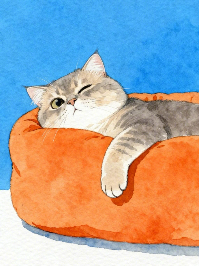 ໑ຼₒ₂₆好尴尬的年纪