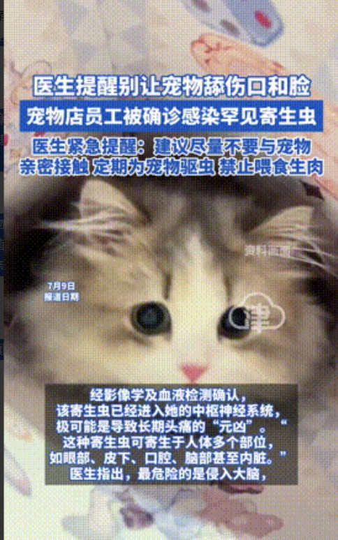 这都下得去嘴！”浙江宁波，41岁女子长期头痛，女子到医院检查，结果被诊断出感染寄