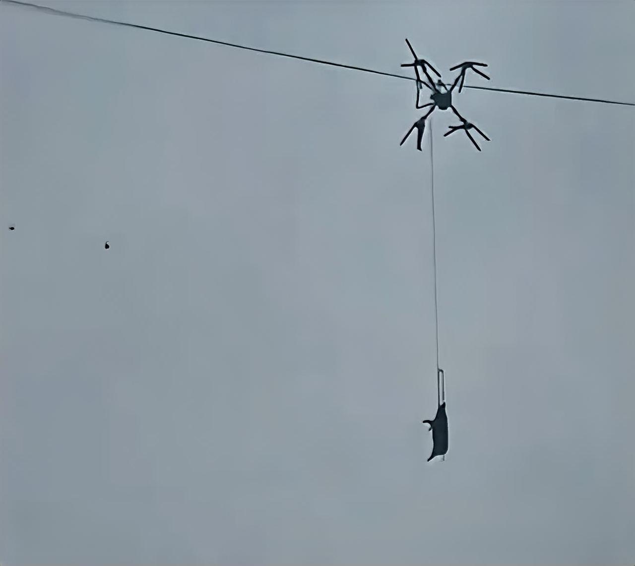 2026年1月24日凌晨，四川巴中铁佛镇的山区村庄，一头约180-200斤重的生