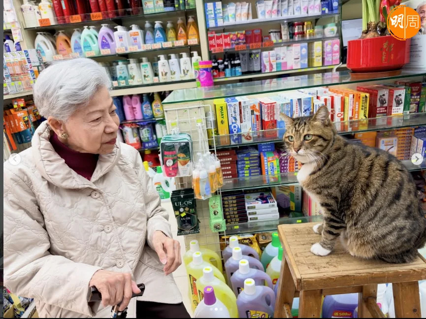 网红猫咪店长虎爷“唔生”的社交平台今天发布了一篇帖子，原来是罗兰姐去探望有着