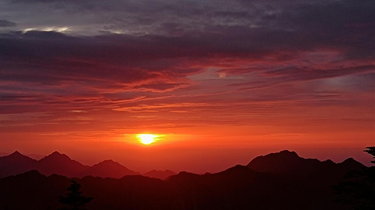 孟良崮战役指挥权真相：阵中日记显示粟裕下达命令16组vs陈毅3组，叶飞统一指挥总