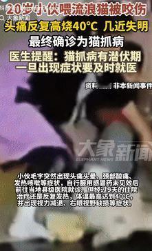 这是真吓人！5月15日上海一男子给流浪猫喂东西时，不小心被对方给抓伤了，不过男子