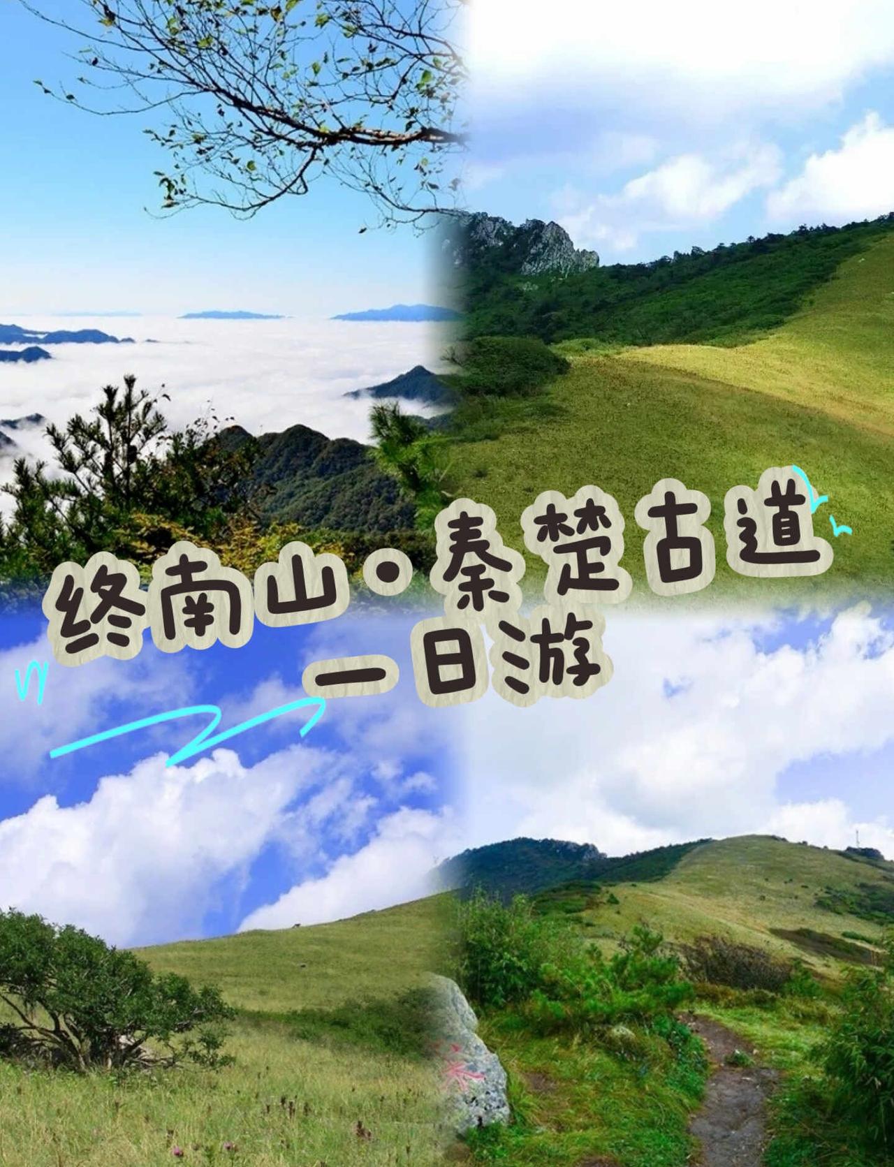 西安出发！终南山秦楚古道一日游攻略⛰终南山主峰海拔2604米⛰高山草甸风景