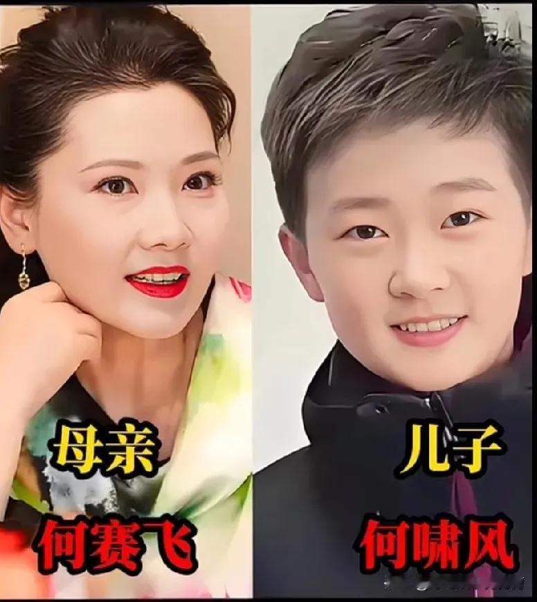 何赛飞儿子英俊可爱，和妈妈长的一样好看赵雅芝儿子英俊可爱，和妈妈长的一样好看
