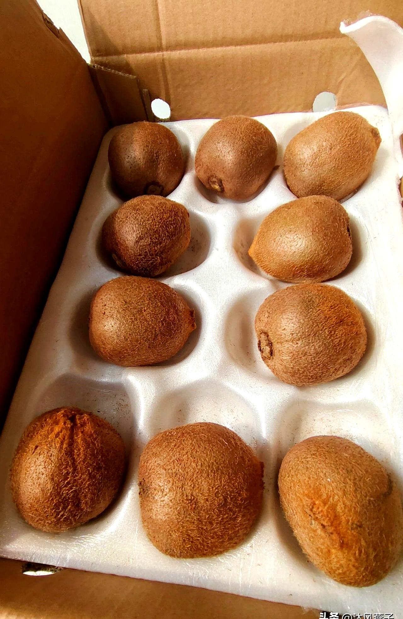 也是网购翻车的事儿。看到标注60克就点了，想象里是拳头大的猕猴桃，拆箱一看十个