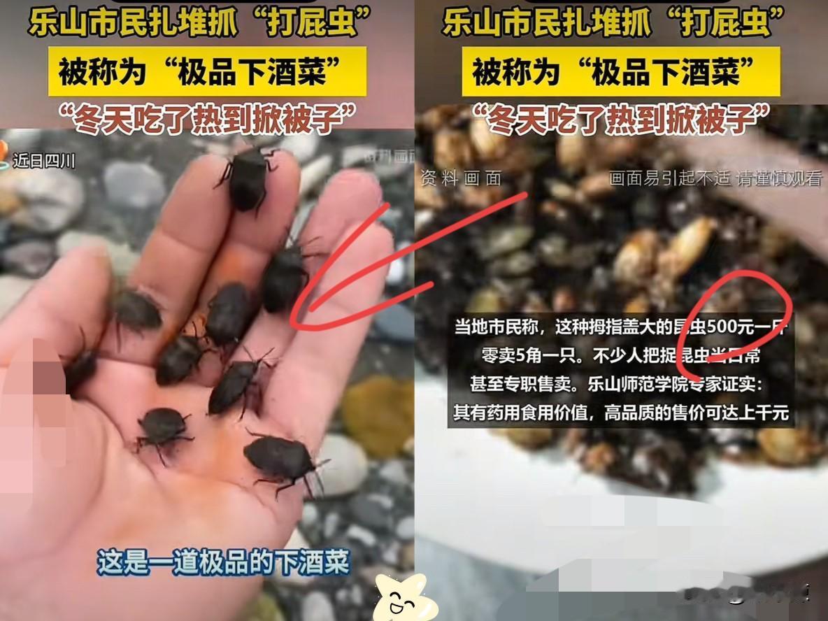 这是真的没想到！四川乐山，不少人都跑到大渡河边，全是翻石头的人，目标居然是人人避