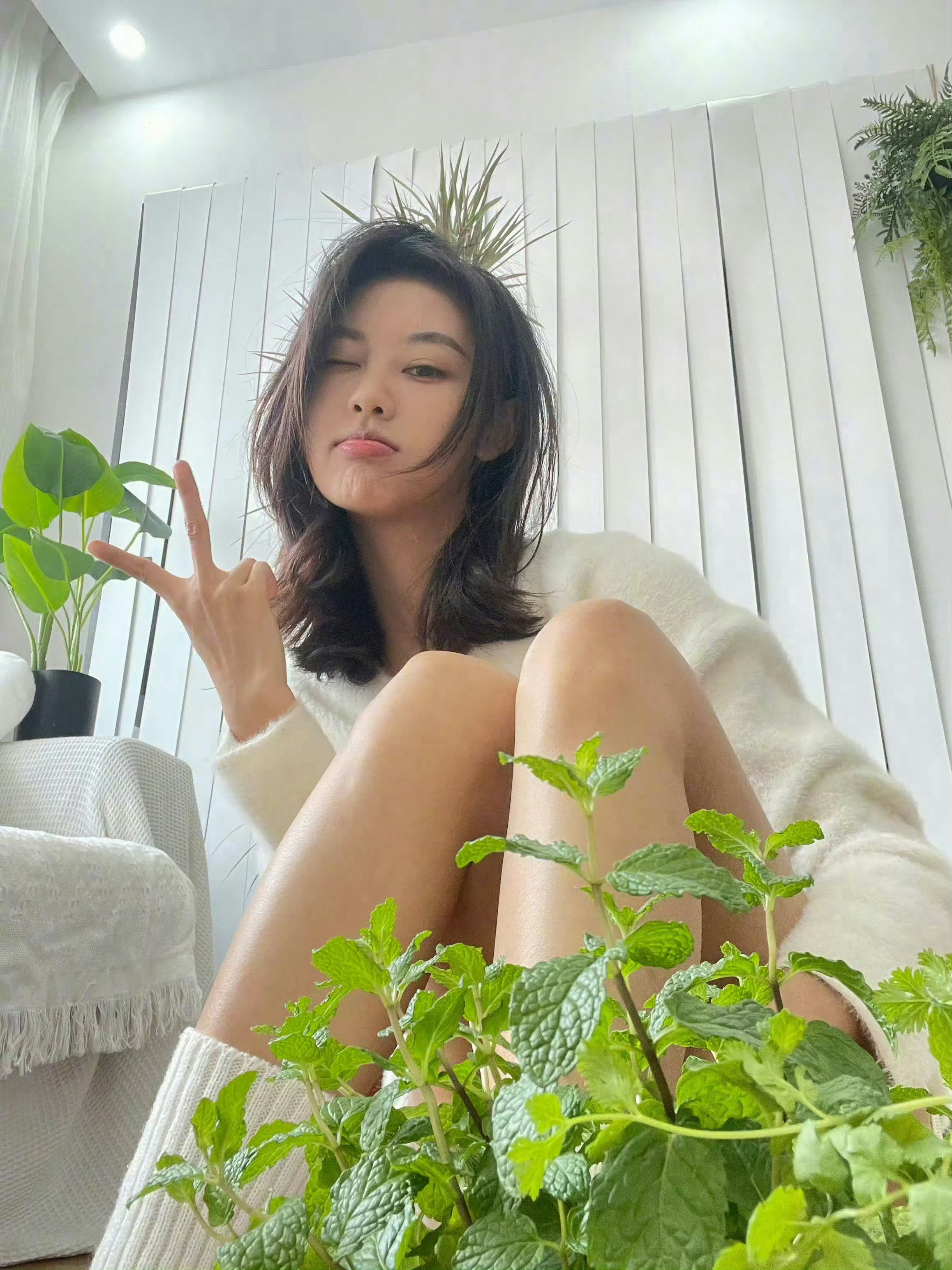 嘿嘿坏天气在家种菜给小东西们换盆添土浇水可以得到满足感分享我的喜悦💛​​​