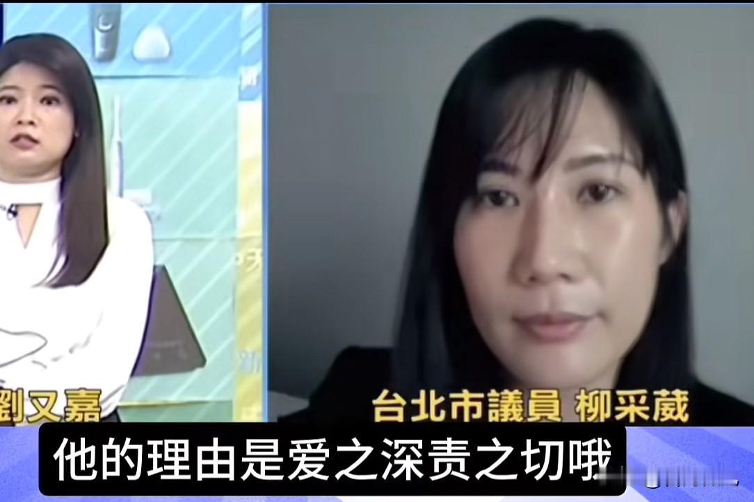 当众发难失态不像话，柳采葳喊话要求道歉政坛吵架别过火，有矛盾不能撒野！国民党
