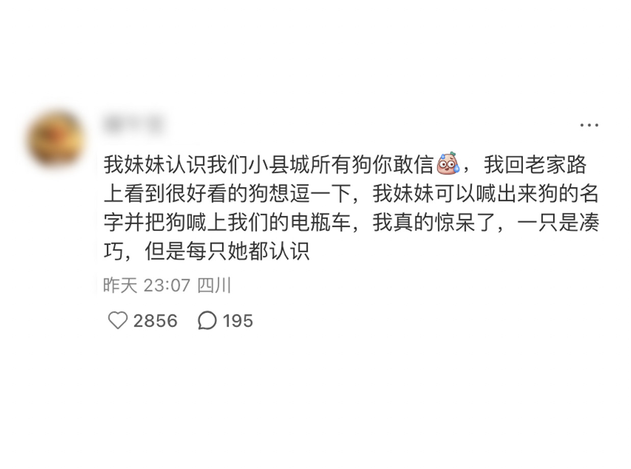在小县城的交际圈里，她可能只是普通女孩；但走在路上你就会知道，在狗脉这一块，妹