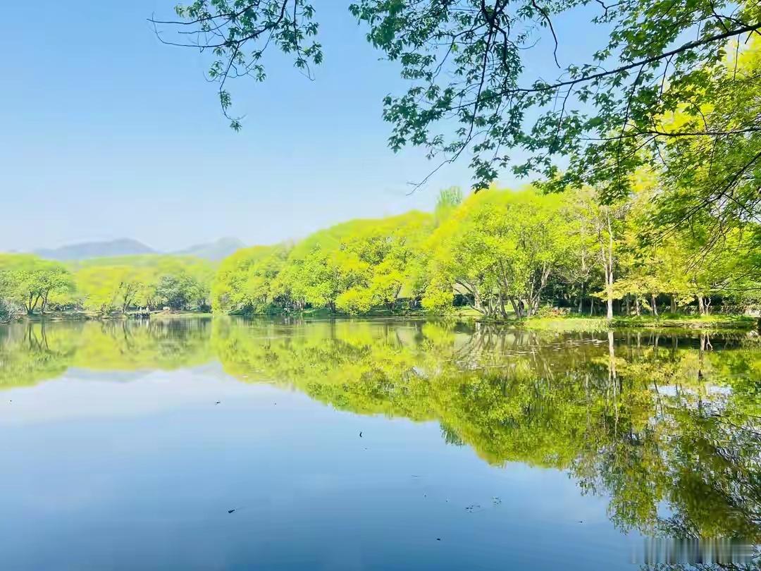 闲鱼土著skill成五一浙江旅游神器五一就去浙江啦！想把江南的温柔都装进眼里。