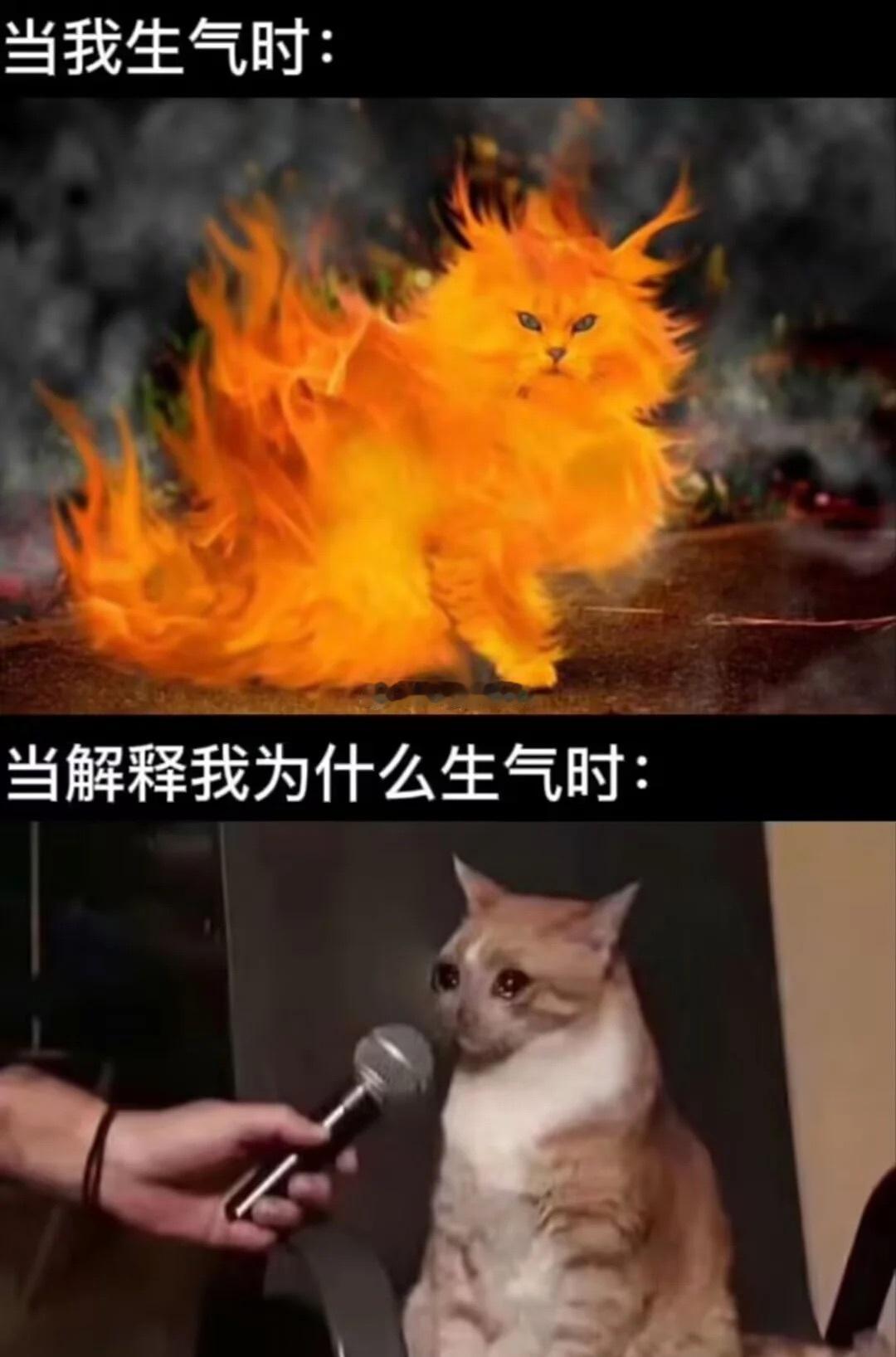 今日梗图​​​