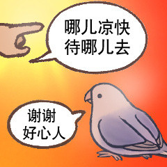 这不是明天的韦礼安吗