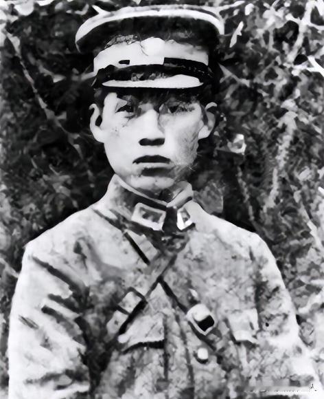 国军将领张岚峰率数千人投日后，弟弟张俊峰触怒日军，被绑在树上用刺刀挑死。张岚峰面