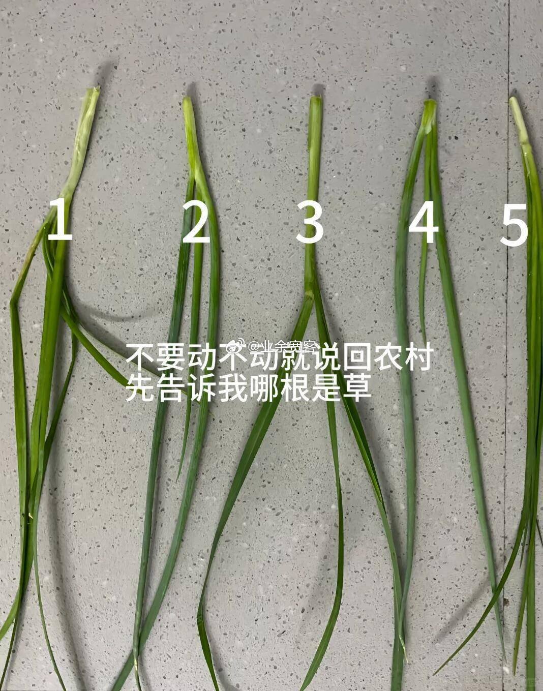 不要动不动就说大不了回农村