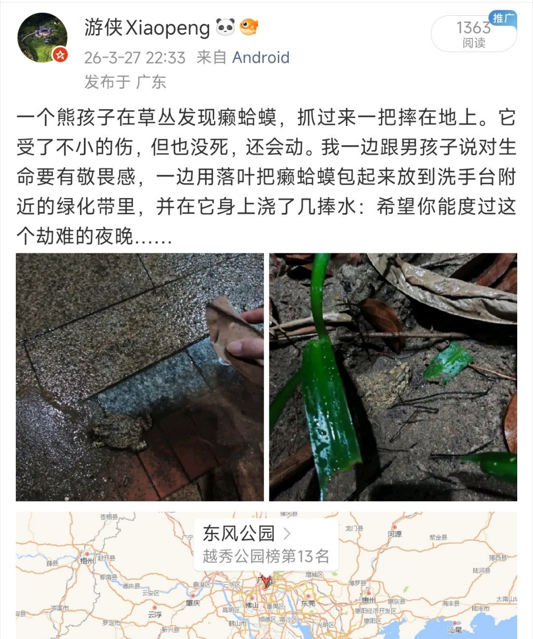 听说现在流行为自己小时候的不懂事向癞蛤蟆道歉，因为癞蛤蟆是个安安静静的乖宝宝。除