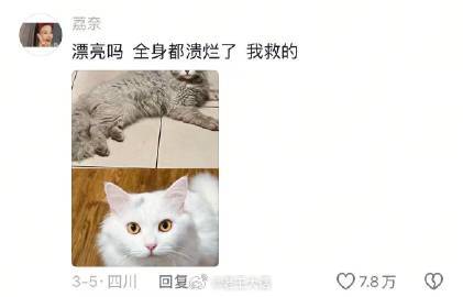 “比死神先来的是妈妈的爱”果然被爱会疯狂长出血肉[哭哭]​​​