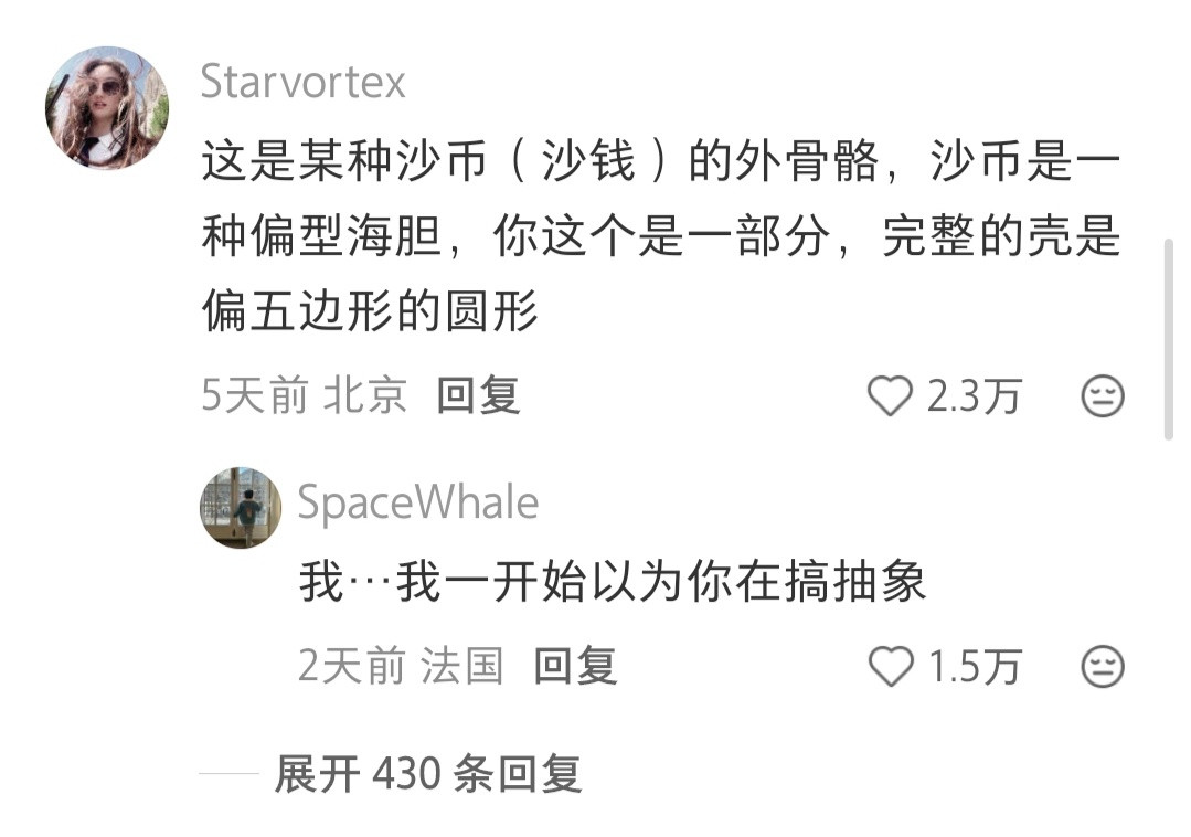 在泰国芭提雅的海滩捡到一个奇怪的贝壳