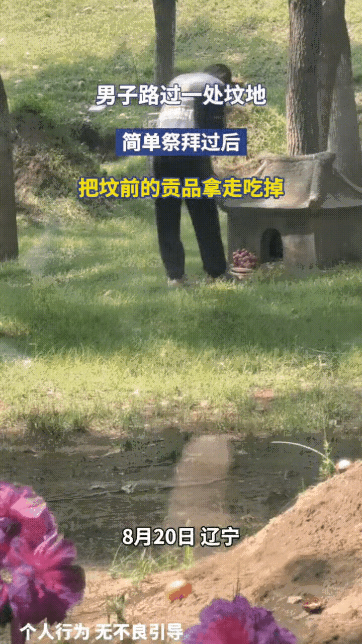 网友震惊了:辽宁，一男子经过墓地的时候，看到不少坟前有新鲜的水果，有葡萄，苹果，