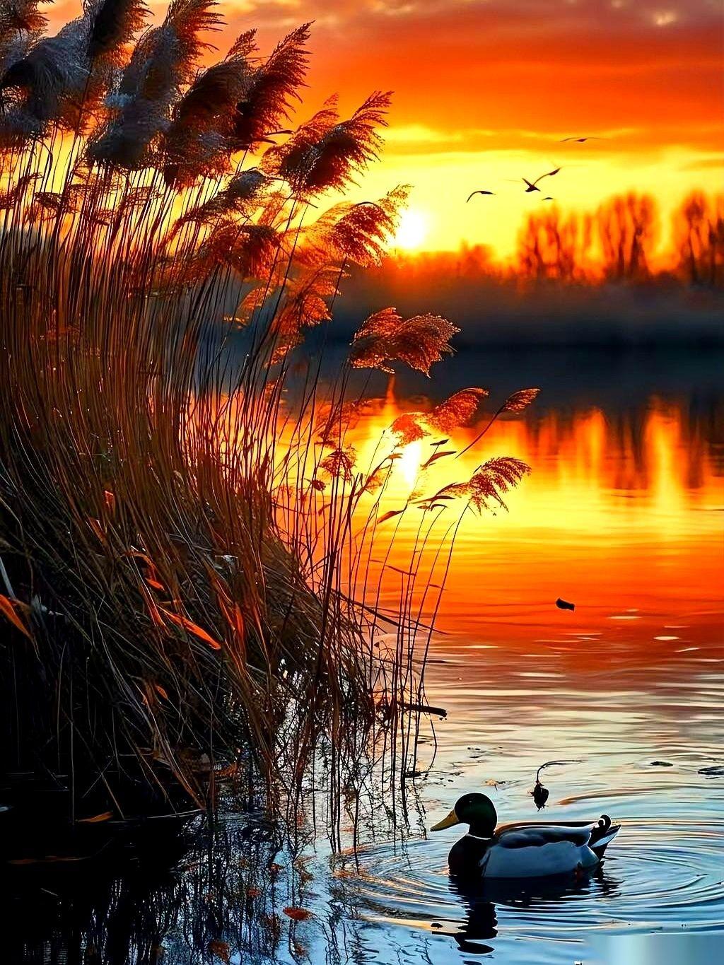 今天在小区听到俩妈聊天，差点没忍住上去理论。一个说：“哎呀，你儿子这次又考了第