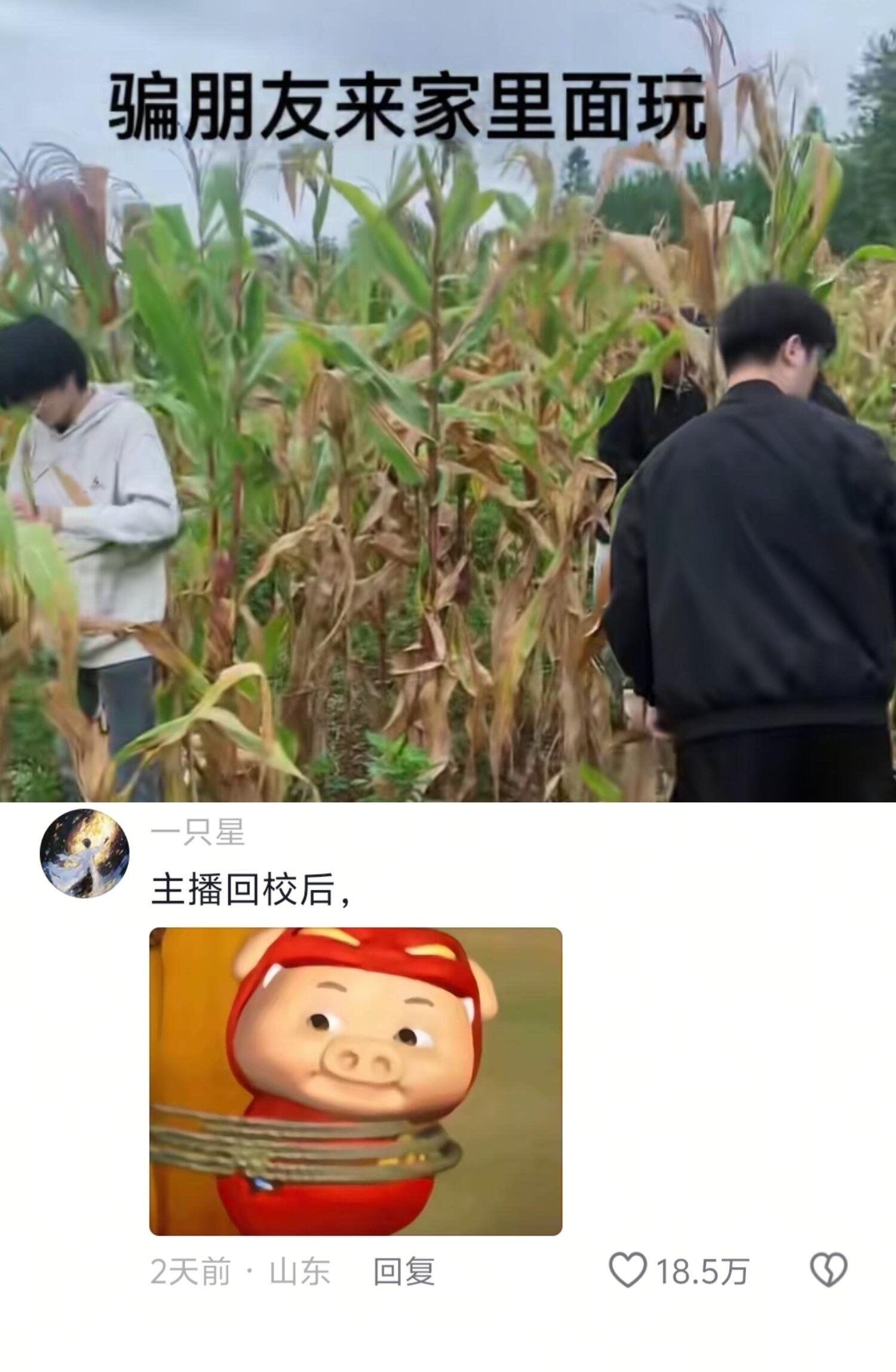 有朋自远方来：劳其筋骨，饿其体肤！​​​