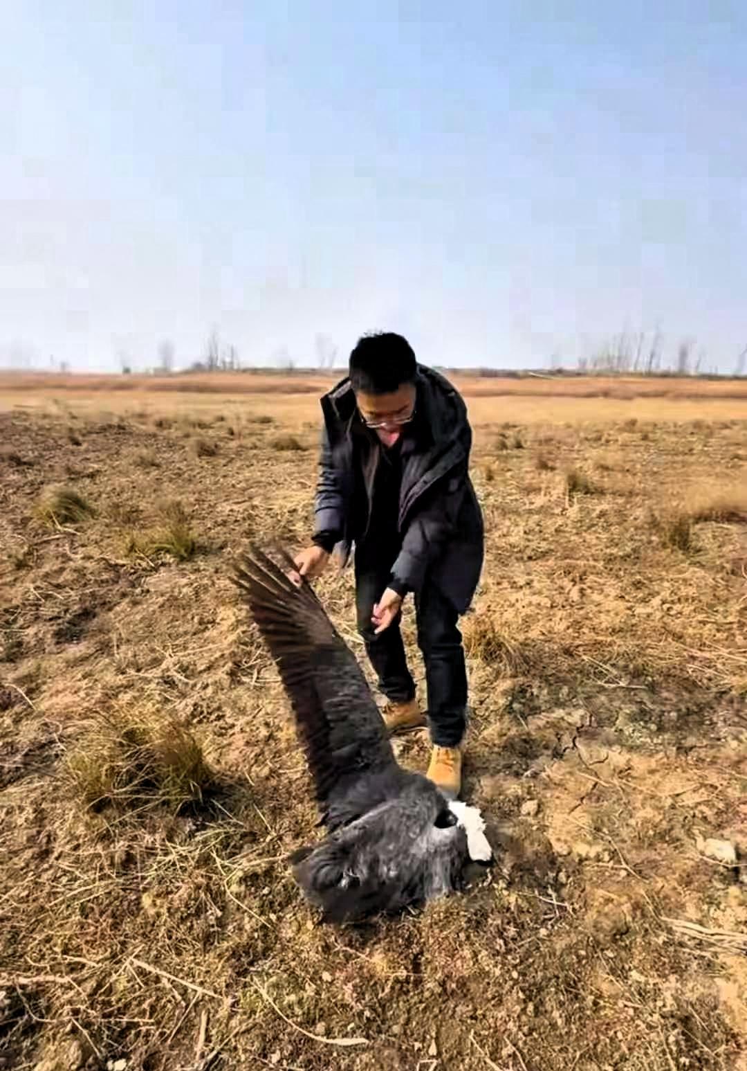 抓到了！鄱阳湖投毒的几个人，终于抓到了！其中一个万万没想到，居然是个30多岁的年