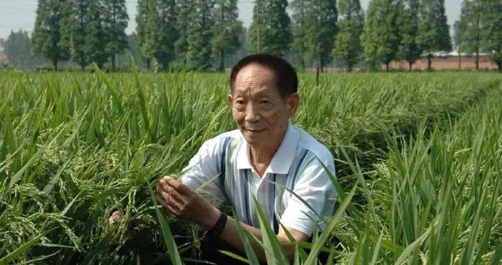 推动者的力量，就是中国崛起的密码