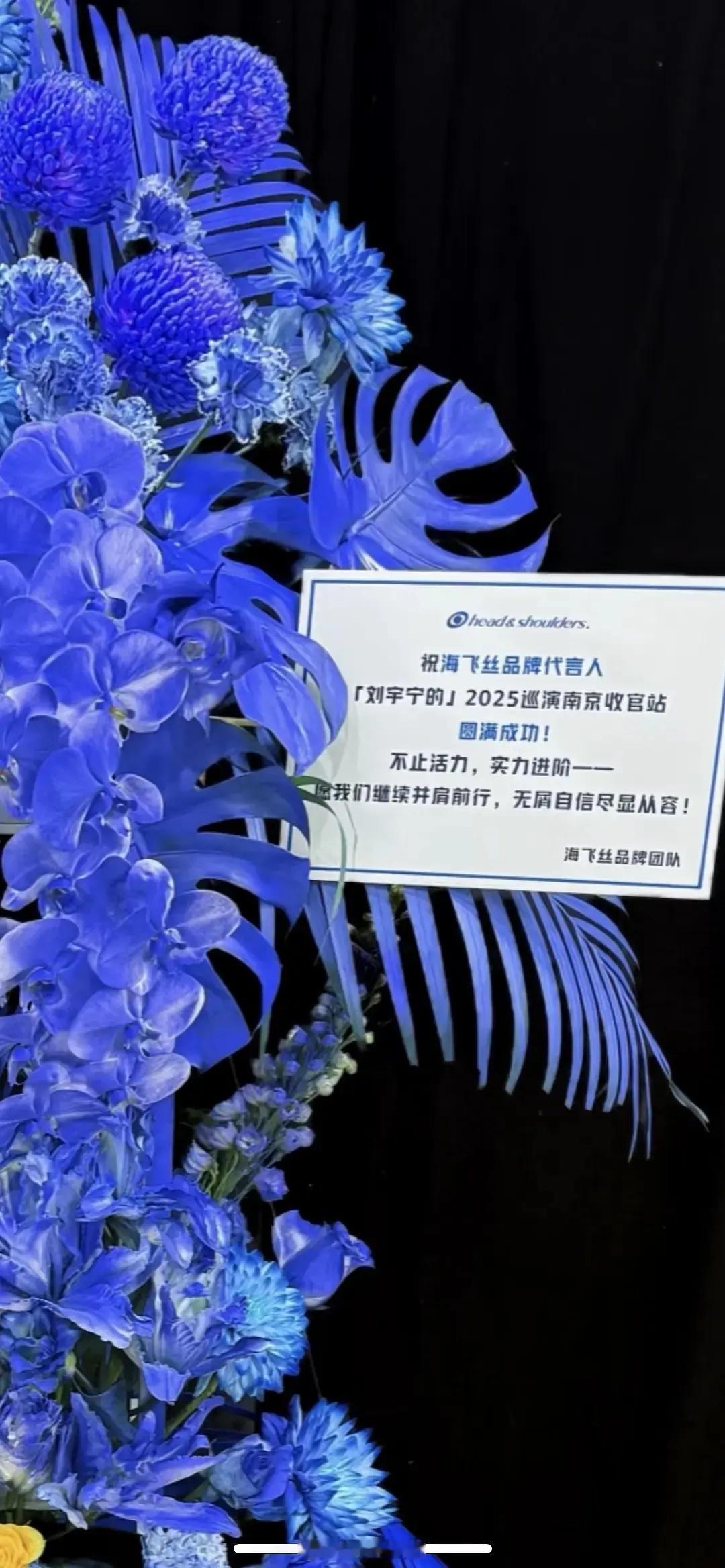 海飞丝给刘宇宁连夜升t了？之前宣的好像不是品代