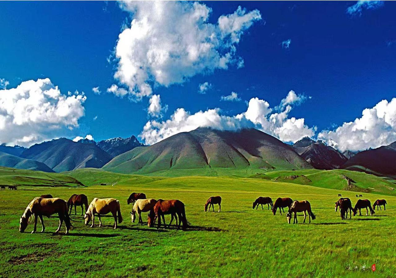 和闺蜜一起看她的牙，去了以后医生说要打麻药，这妞就准备脱裤子。医生：你干嘛？