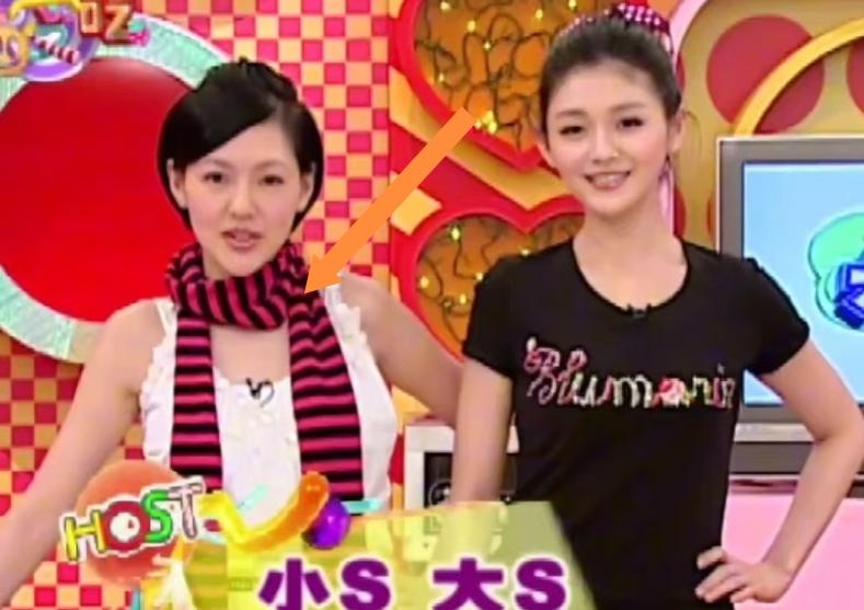 漂亮真的是藏不住的天赋。回看大小S早年主持节目的片段，两人并肩站在镜头前，风格反