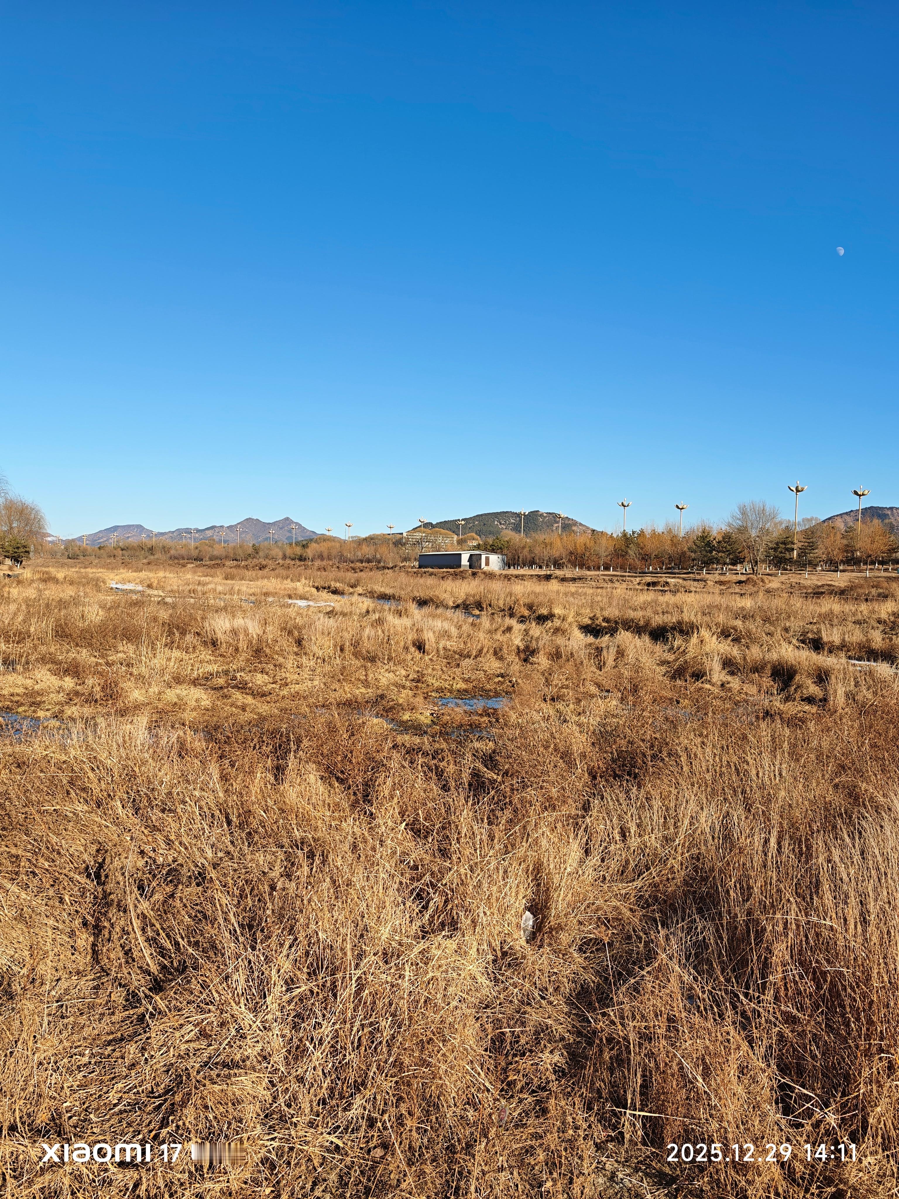 小米17Ultra1倍，2倍，3.2倍，5倍，10倍，30倍，60倍，白平衡