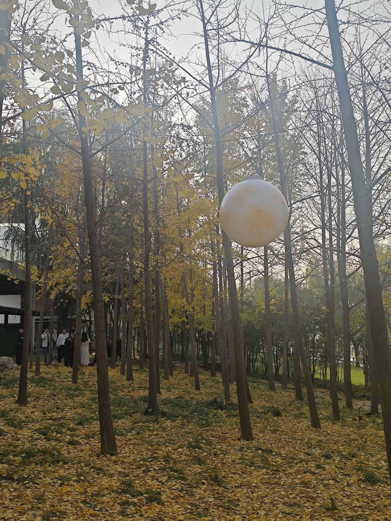 年龄大了以后，孩子也成家立业了，在生活中你总想还想像他们小的时候，去纠正孩子的固