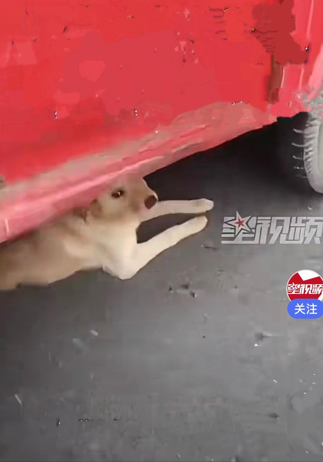 “破防了！”江苏泰州一户人家闲置许久的旧三轮车，积满灰尘，无人问津，车主觉得留着