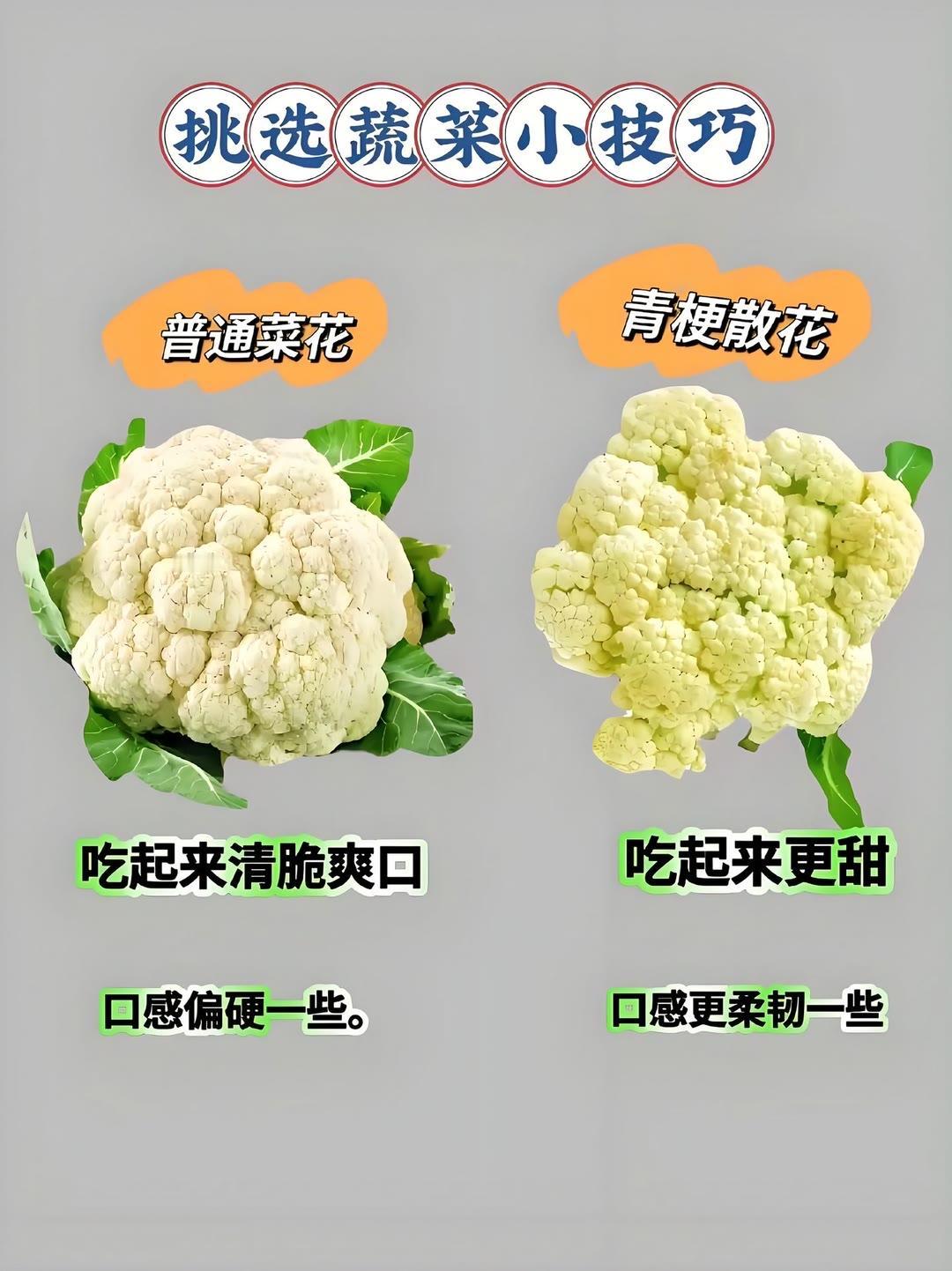 希望大家都可以挑选到自己喜欢的菜蔬菜蔬菜农家无公害蔬菜营养健康蔬菜农家蔬
