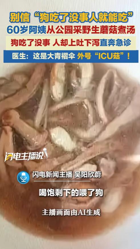 “试毒也没有用！”6月24日报道，湖北武汉，一女子从公园里采了些野蘑菇，回家后就