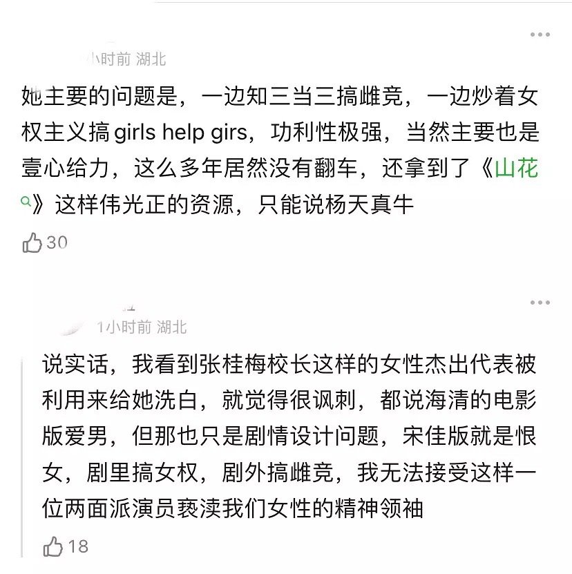 白玉兰已翻篇，那来聊聊，如果宋佳不是遇上刘亦菲而是赵丽颖，是不是就是另一番景象了