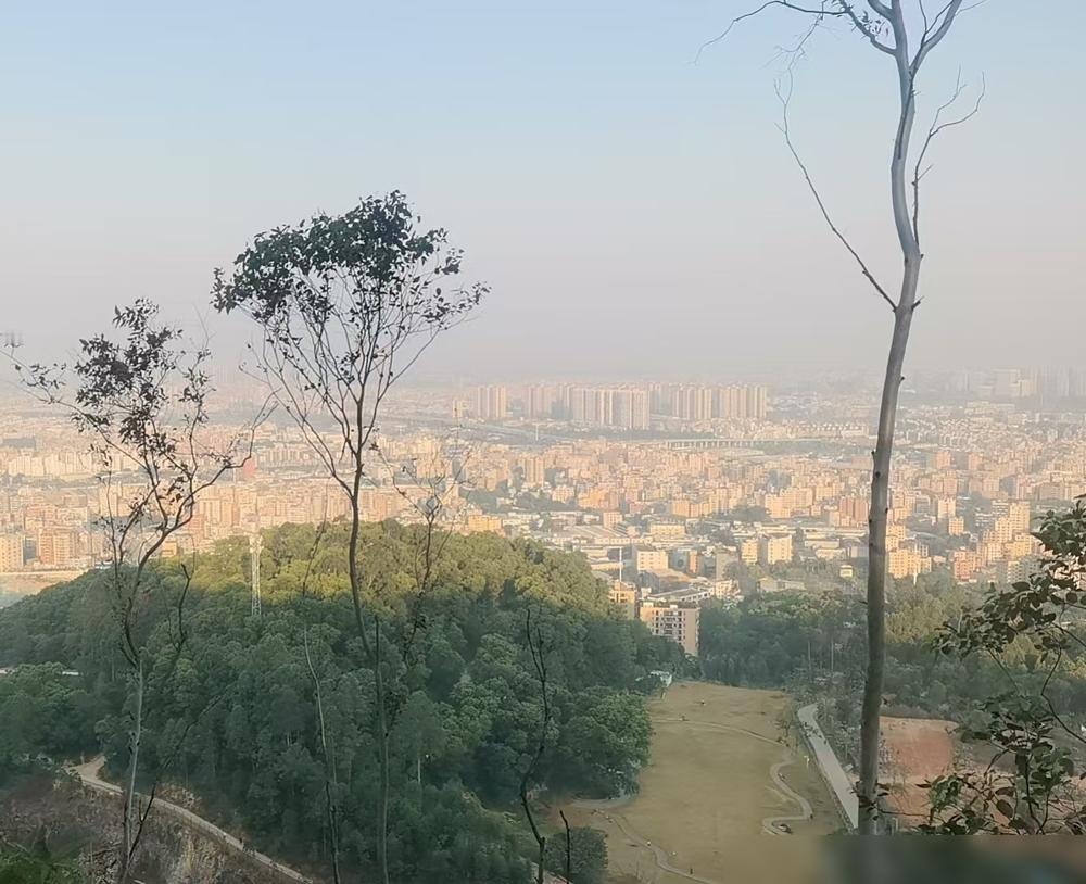 我真的越来越看不懂00后了。​我堂妹，02年的，今年23岁，中专毕业，刚出工