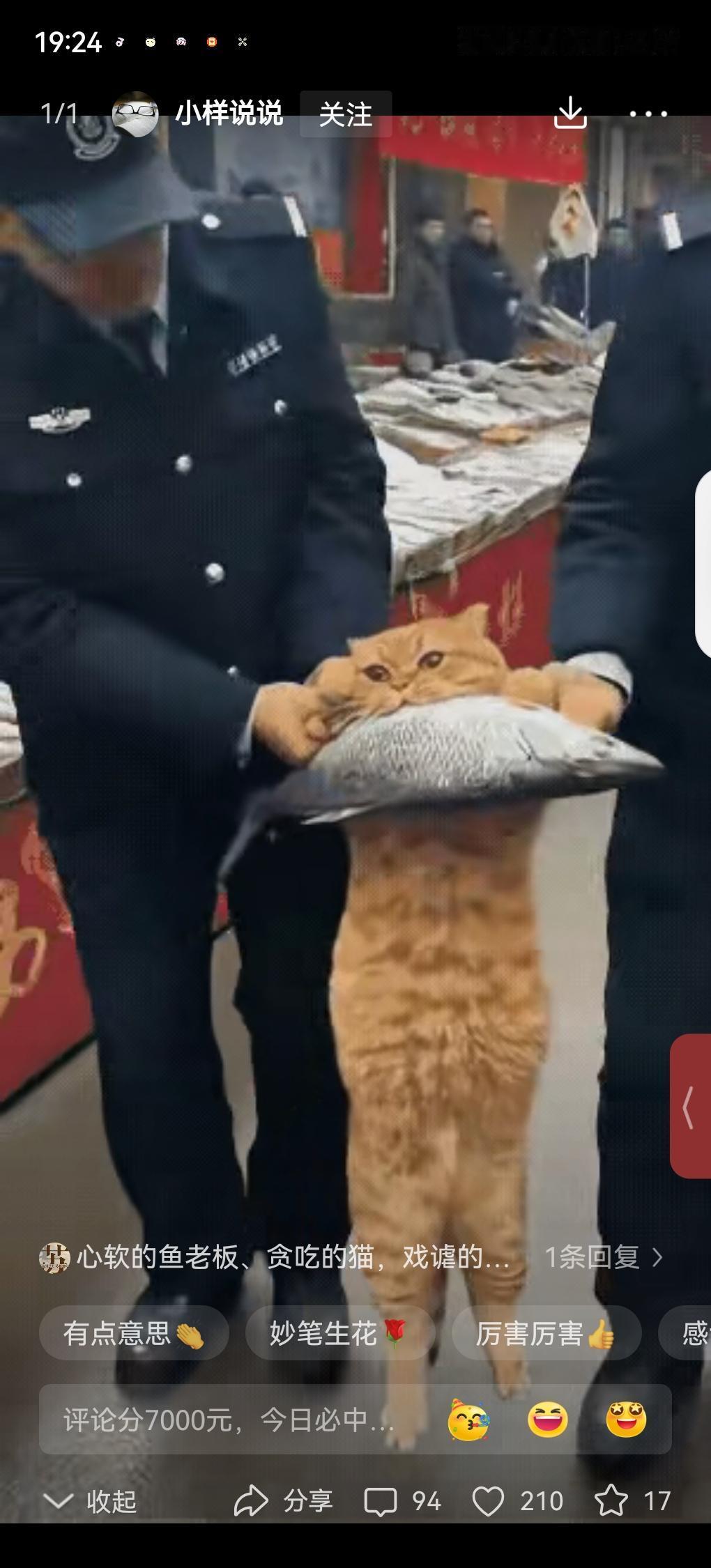 脸都不要了！广西北海icon地角海鲜市场，一个鱼贩摊位上常来一只猫偷鱼，老板前前