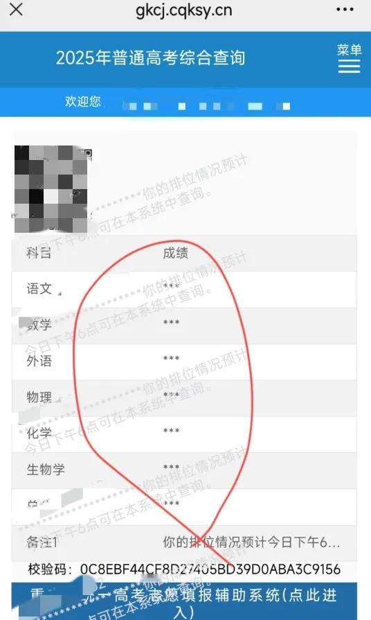 高考成绩被屏蔽了，画面是这样的——