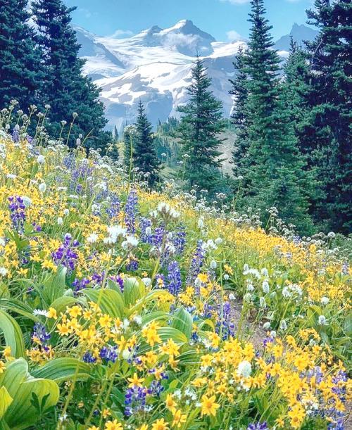 血泪教训！这9种借钱傻事踩中一个就亏大了千万别犯这九种借钱傻事。天下第一