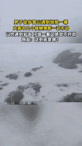 云南雪山大雾惊现“直立黑影”！独自徒步遇到这场景，跑还是喊？真不是吓唬人，