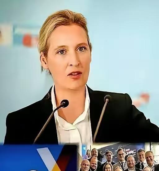 德国那些大人物，昨晚估计都没睡好。不是咖啡喝多了，是吓的。他们骂的那个“极右”政