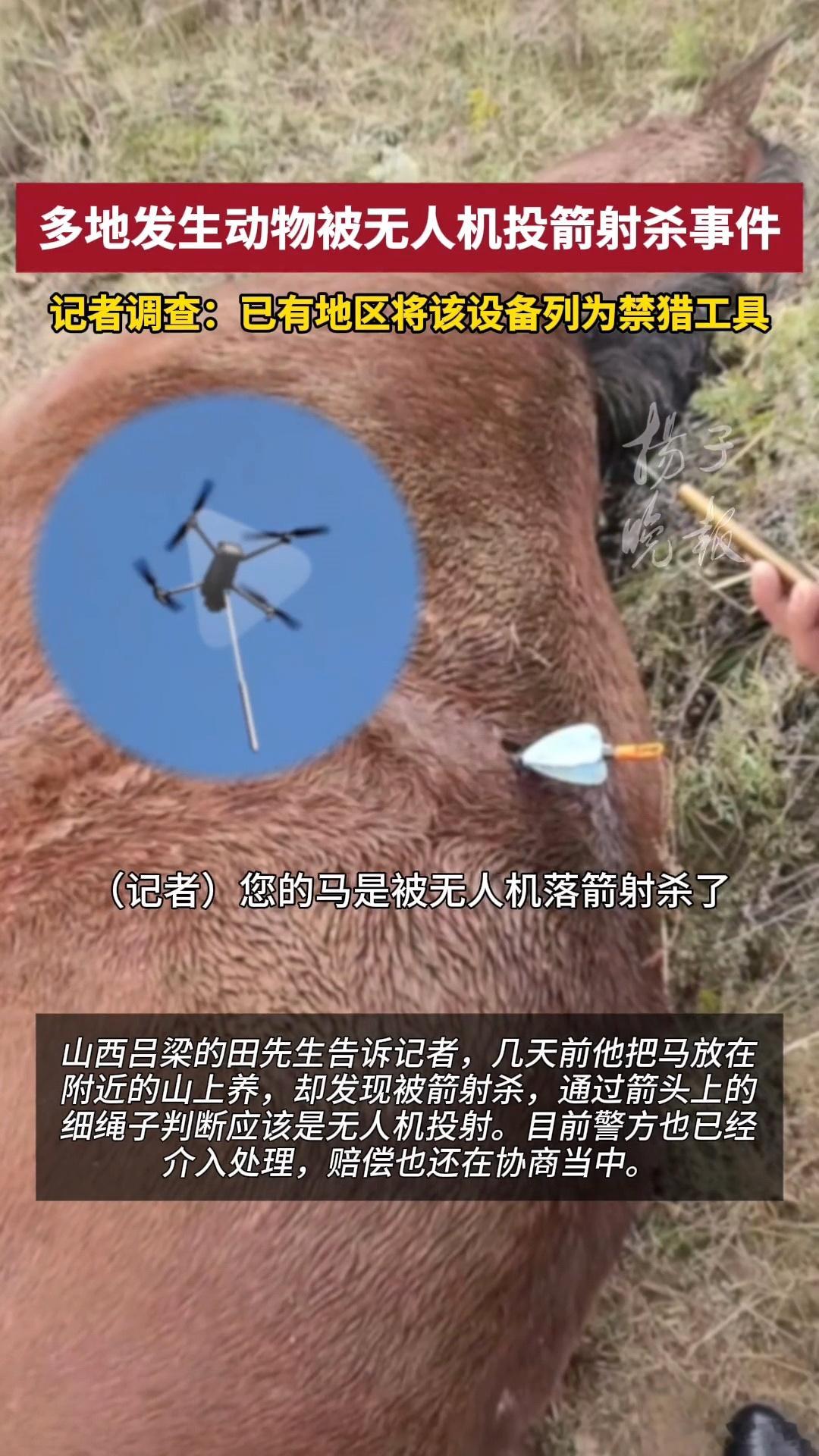 无人机热成像射杀动物如果误伤到人了怎么办？🌚现在有很多人野外徒步、露营一些探