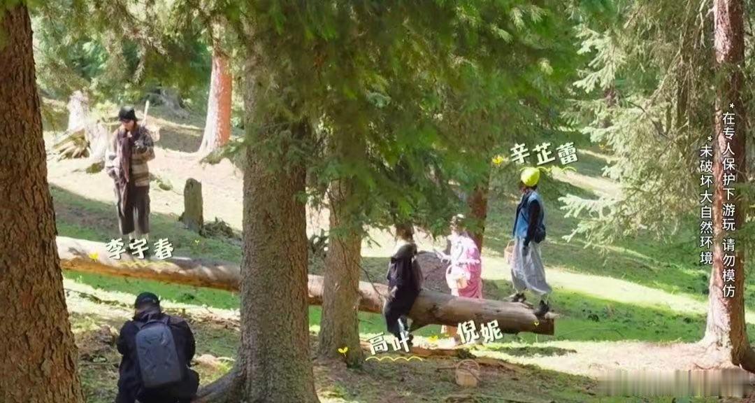 李宇春站跷跷板给辛芷蕾出片向野的我们看到李宇春在跷跷板上努力保持平衡的样子，真