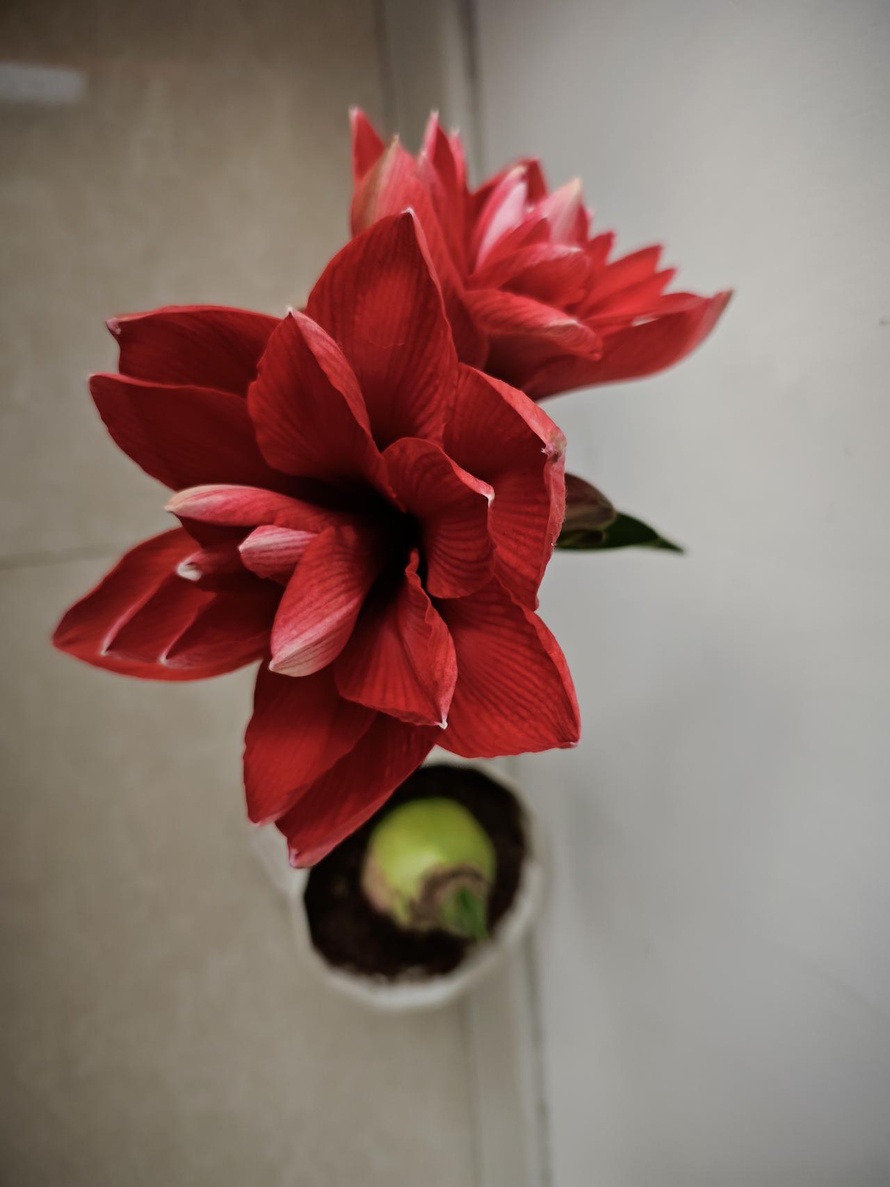 初二，老师让上报参加过信息培训并且数学成绩在年级前500的孩子，听说是高中提前选