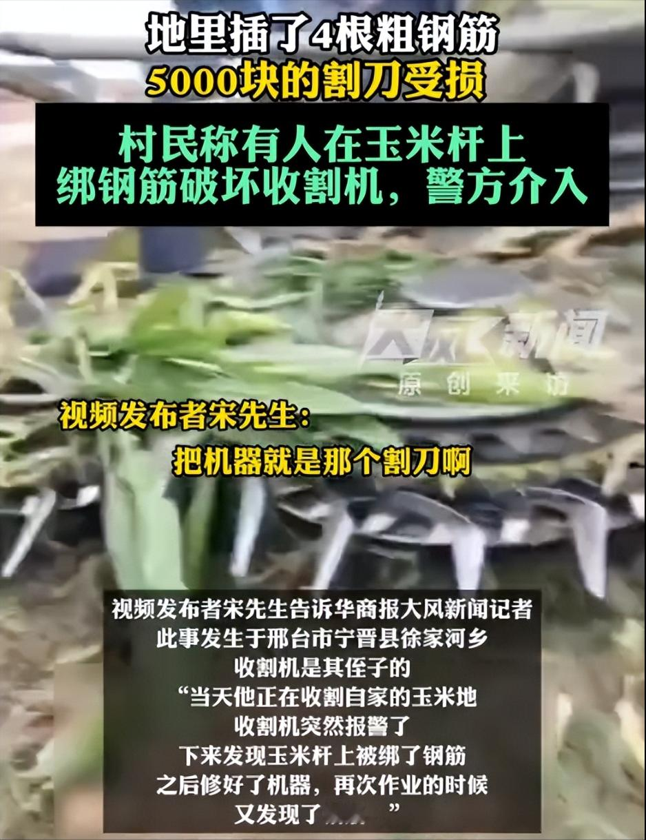 河北邢台，男子驾驶收割机抢收玉米，谁知过程中发出了金属摩擦的声音，随后收割机的割刀便损毁了。男子下地